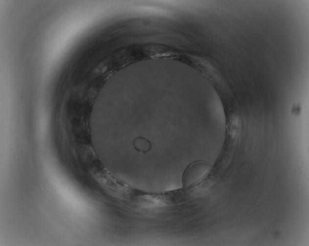 X0000112470763200909071133