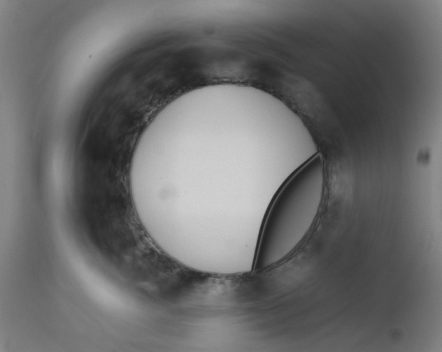 X0000112470764200909071133