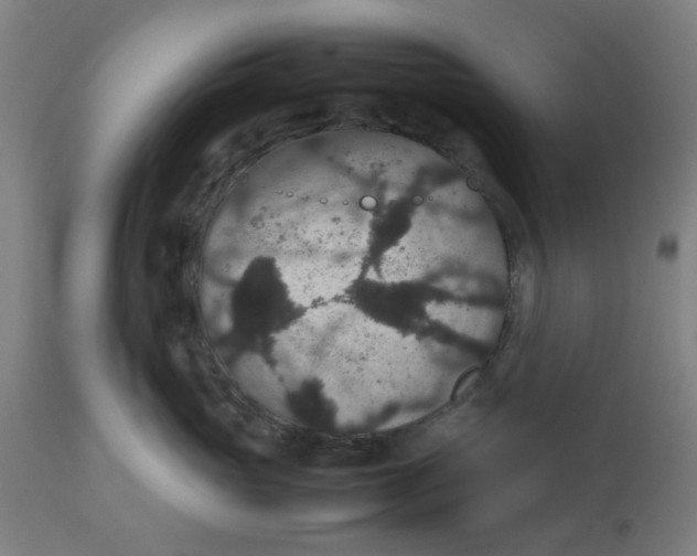 X0000112470765200909071133