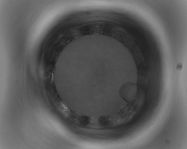 X0000112470766200909071133