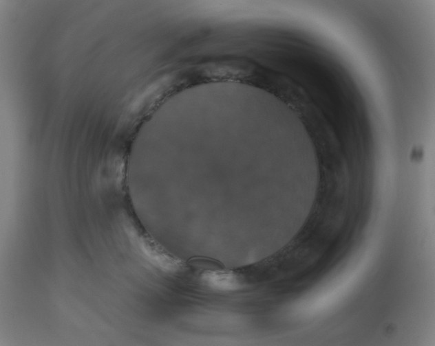 X0000112470767200909071133