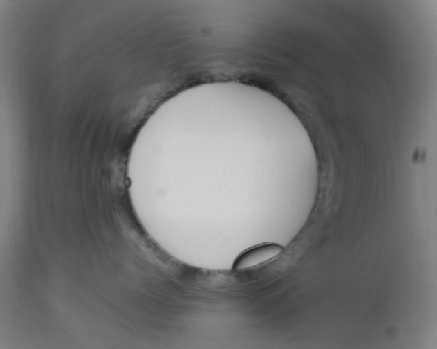 X0000112470768200909071133