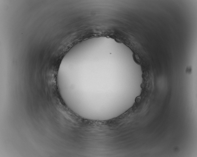 X0000112470770200909071132