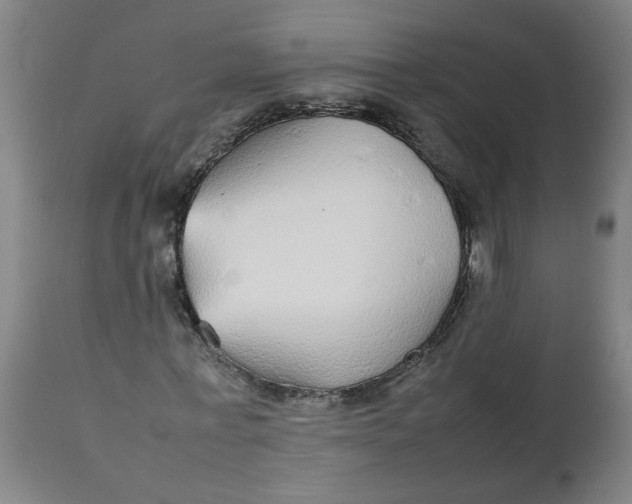 X0000112470771200909071132