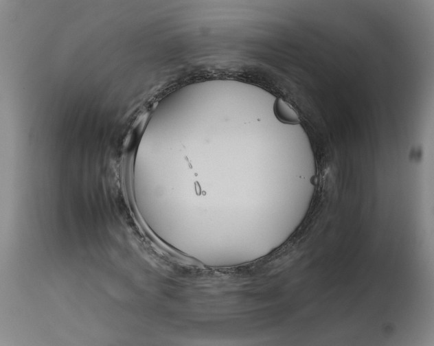 X0000112470772200909071132