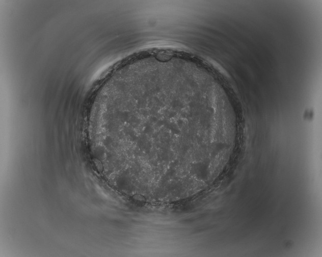 X0000112470775200909071132