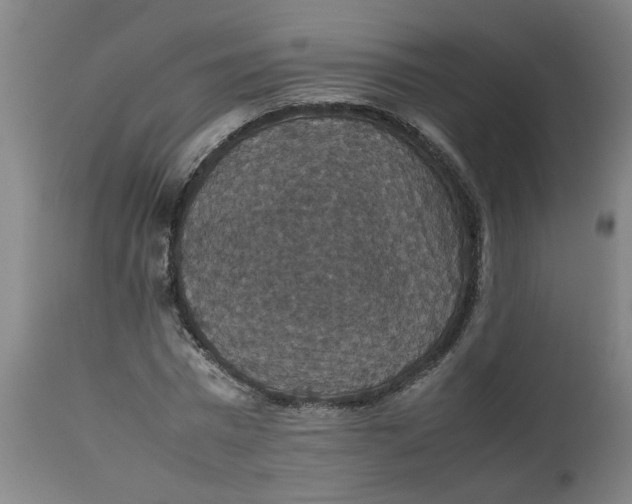 X0000112470777200909071132