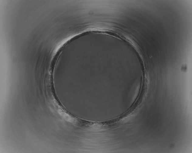 X0000112470779200909071132