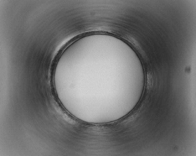 X0000112470780200909071132