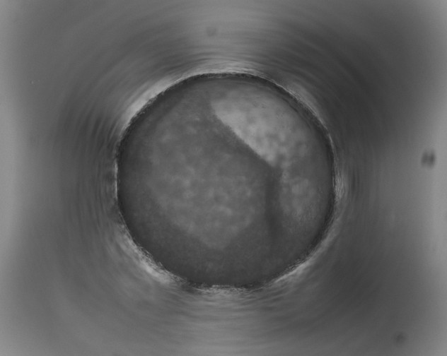 X0000112470781200909071132