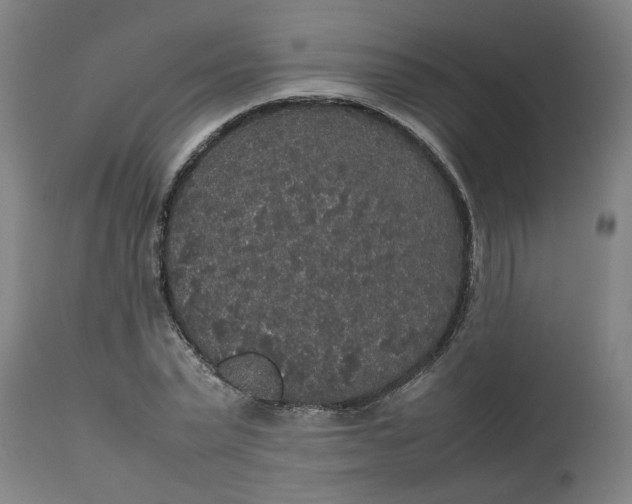 X0000112470783200909071132