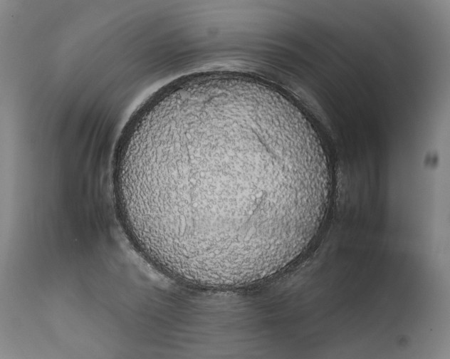 X0000112470784200909071132