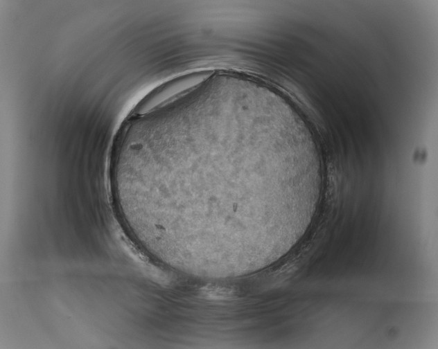 X0000112470788200909071132