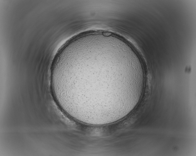 X0000112470791200909071132