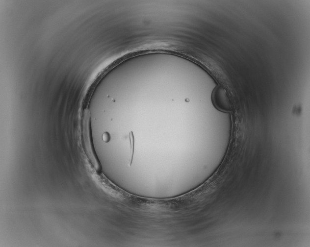 X0000112470792200909071132