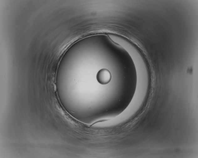 X0000112470793200909071132