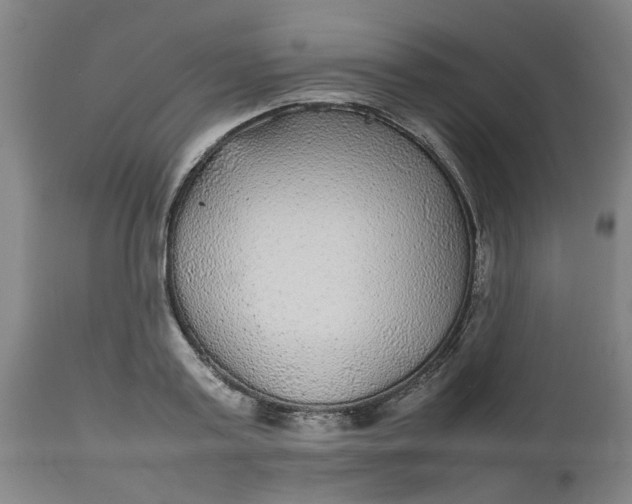 X0000112470795200909071132