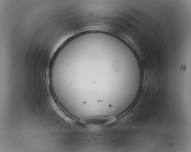 X0000112470796200909071132