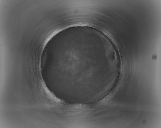 X0000112470797200909071132