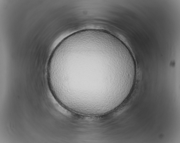 X0000112470803200909071132