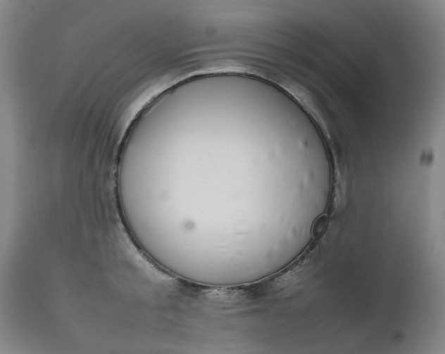 X0000112470805200909071132