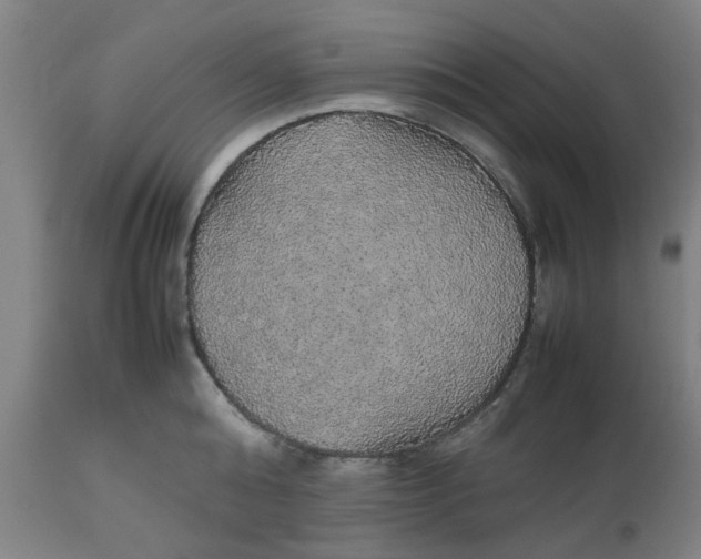 X0000112470808200909071132