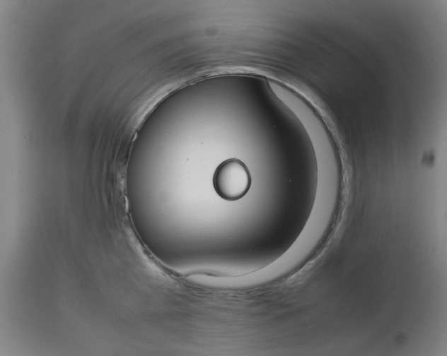 X0000112470809200909071132