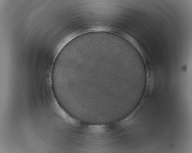 X0000112470810200909071131