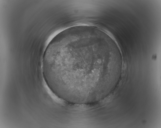 X0000112470811200909071131