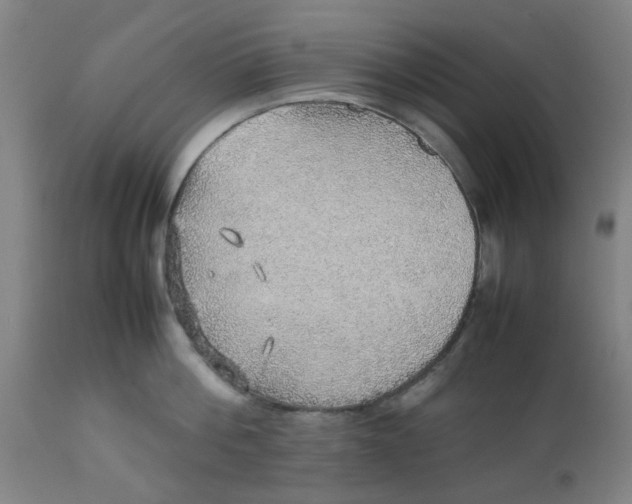 X0000112470812200909071131