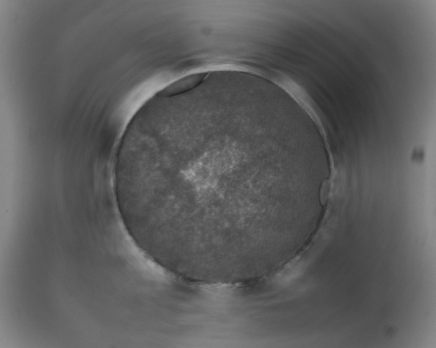 X0000112470813200909071131