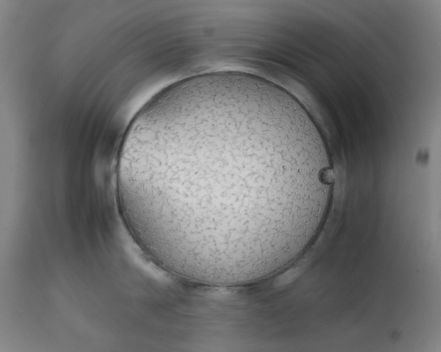 X0000112470814200909071131