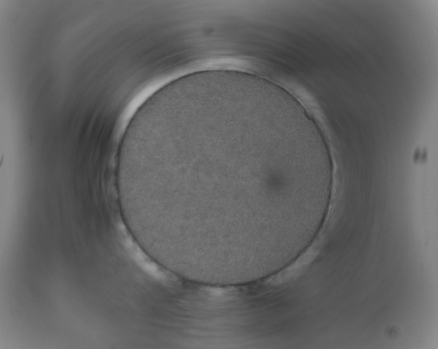 X0000112470816200909071131