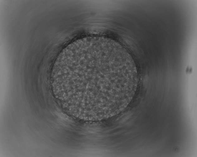 X0000112470817200909071131