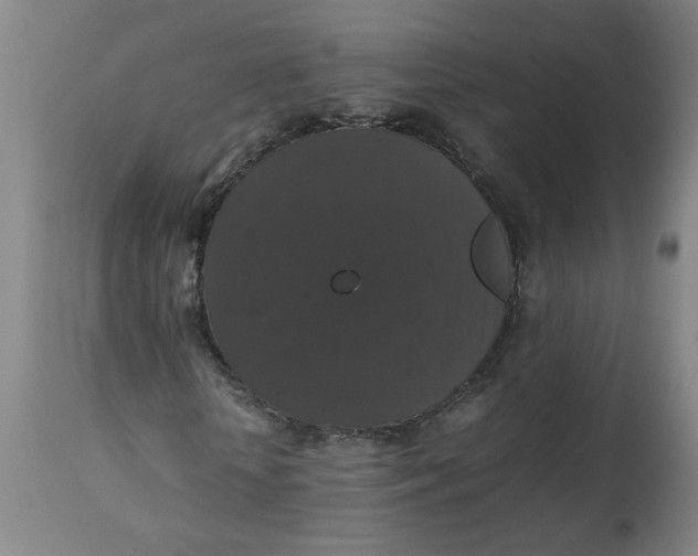 X0000112470818200909071131