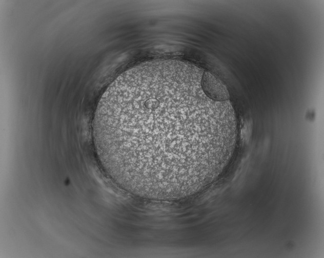 X0000112470819200909071131