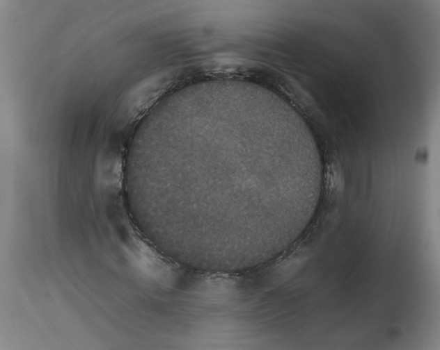 X0000112470820200909071131