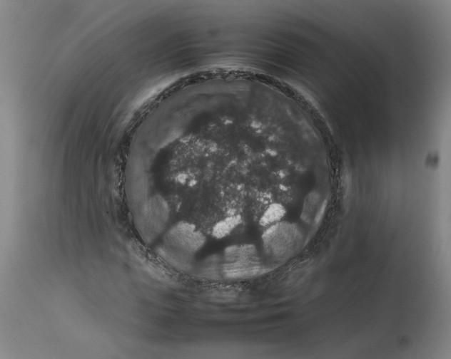 X0000112470823200909071131