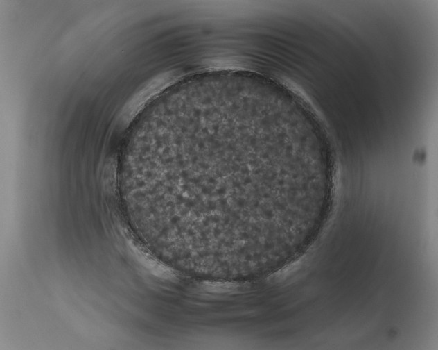 X0000112470825200909071131