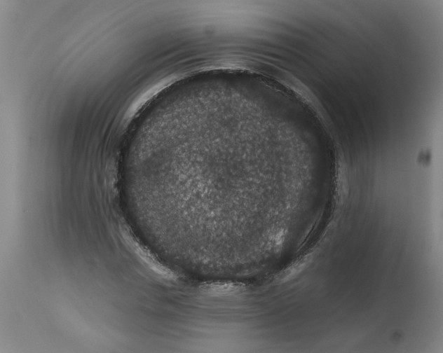 X0000112470826200909071131