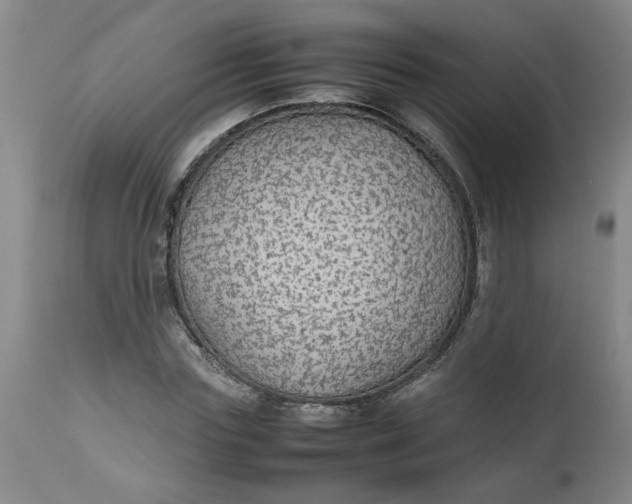 X0000112470827200909071131