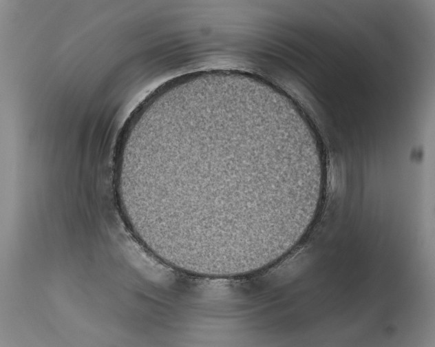 X0000112470828200909071131