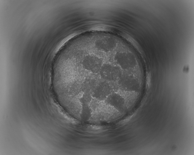 X0000112470829200909071131