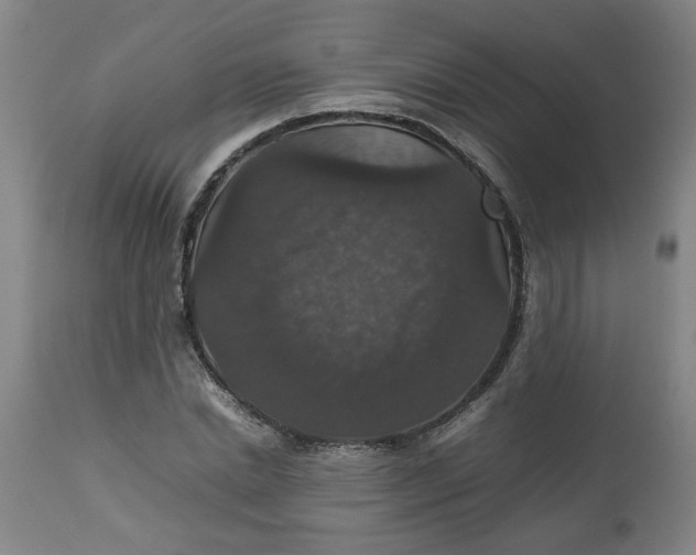 X0000112470830200909071131