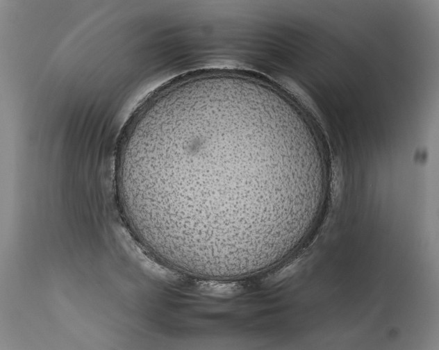 X0000112470831200909071131