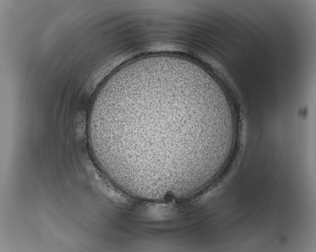 X0000112470833200909071131