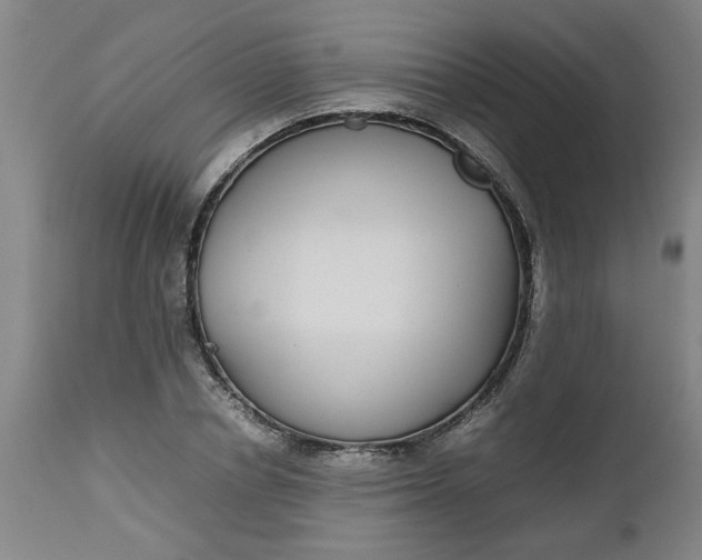 X0000112470834200909071131