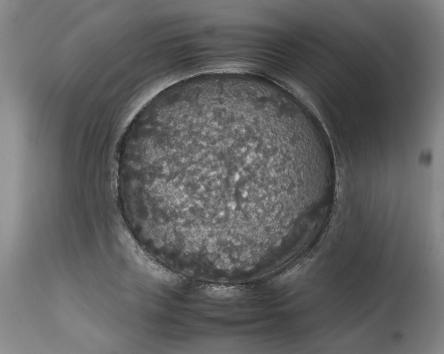 X0000112470835200909071131