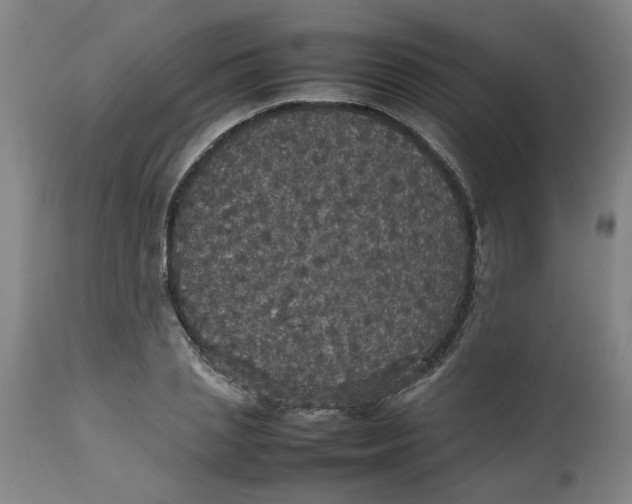 X0000112470837200909071131