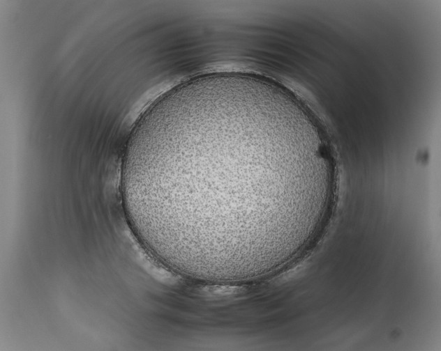 X0000112470841200909071131